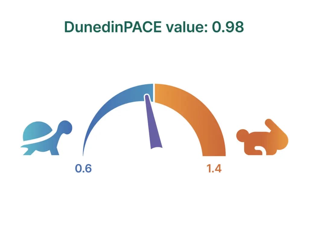 Grafic exemplu: scala DunedinPACE de la 0,6 (îmbătrânire lentă) la 1,4 (îmbătrânire rapidă), cu valoarea individuală indicată pe ac.